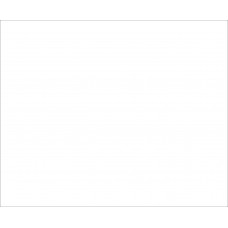 ЛДСП BySpan Белый 605