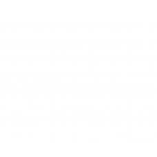 ЛДСП BySpan Белый 607