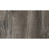 Сосна Пасадена