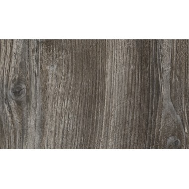 Сосна Пасадена