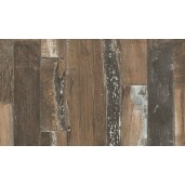 Сосна Силэнд