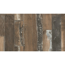 Сосна Силэнд