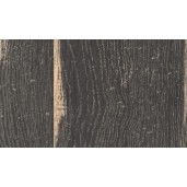 Дуб Хэлфорд чёрный