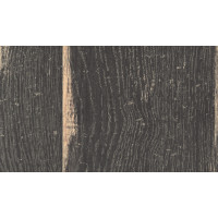 Дуб Хэлфорд чёрный