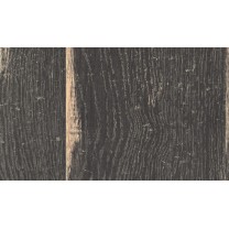 Дуб Хэлфорд чёрный