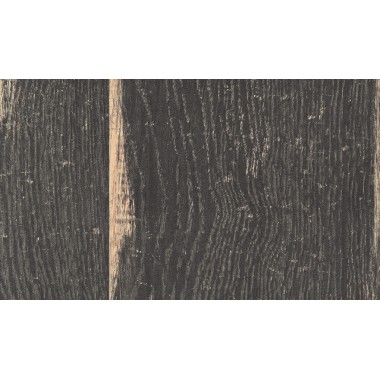 Дуб Хэлфорд чёрный