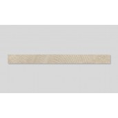 Вяз Тоссини белый