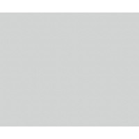 ЛДСП BySpan Пепел 621