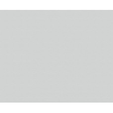 ЛДСП BySpan Пепел 621