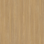 TSS Dekta D.407 Дуб Честер натуральный