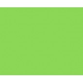 ЛДСП BySpan Зеленый 651