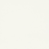 ЛДСП EGGER Белый классический W960 ST7