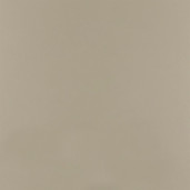 Фасад Senosan TopX 7599G Beige metallic