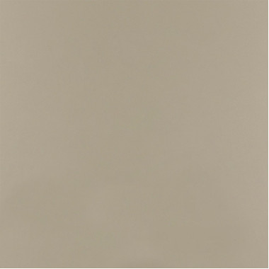 Фасад Senosan TopX 7599G Beige metallic